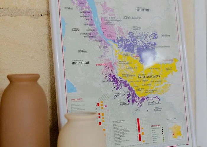 Les Libournettes - Harmony Libourne